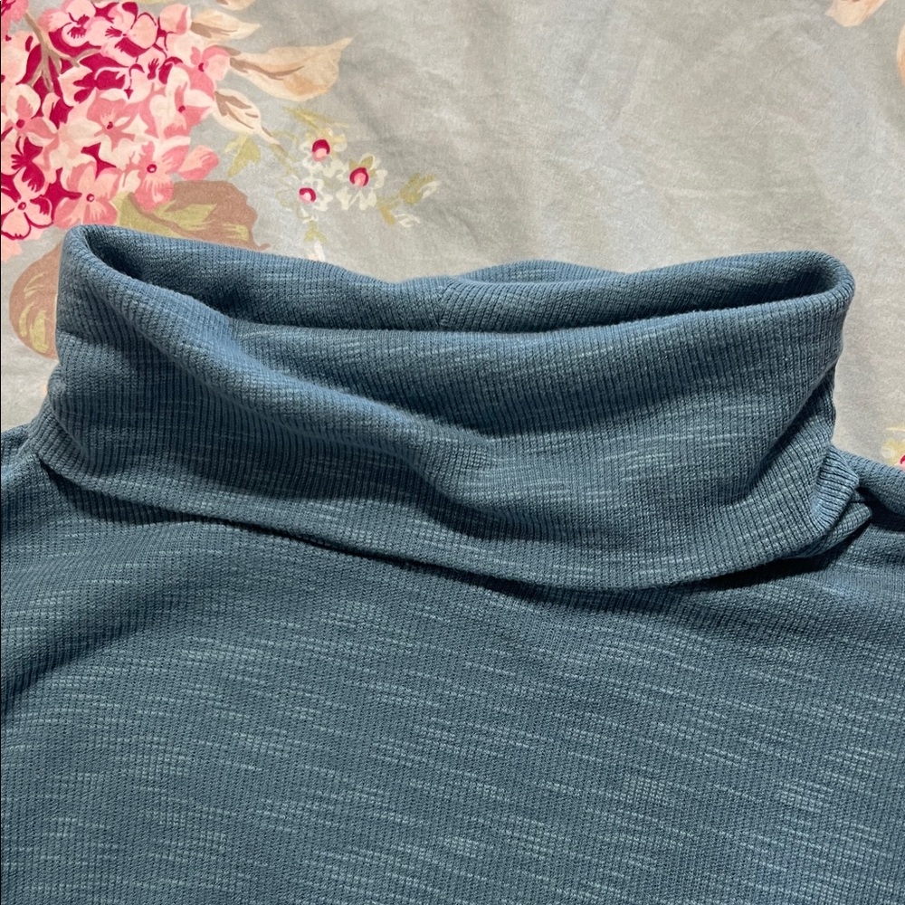 GAP Women's Slate blue Long Sleeve Rib turtleneck Top shirt size large